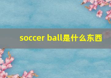 soccer ball是什么东西